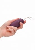 WIBRUJĄCE JAJKO GEJSZY 10 Speed Remote Vibrating Egg - Big - Purple