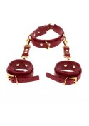 D-Ring Collar and Wrist Cuffs