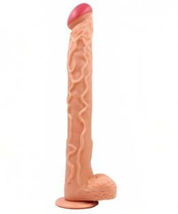 DILDO LONG D WITH SUCTION CUP 33-0179