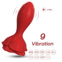 Rosenberg Red, 9 vibration functions